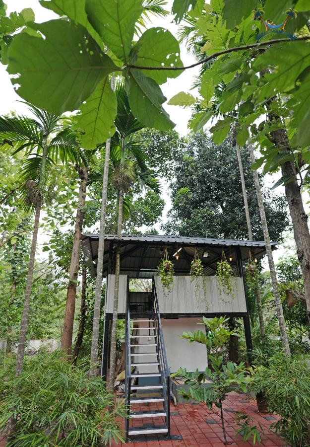 Serenity Villa And Treehouse Palakkad Εξωτερικό φωτογραφία