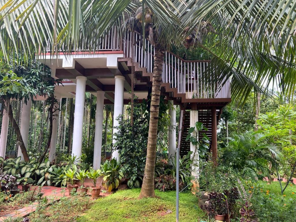 Serenity Villa And Treehouse Palakkad Εξωτερικό φωτογραφία