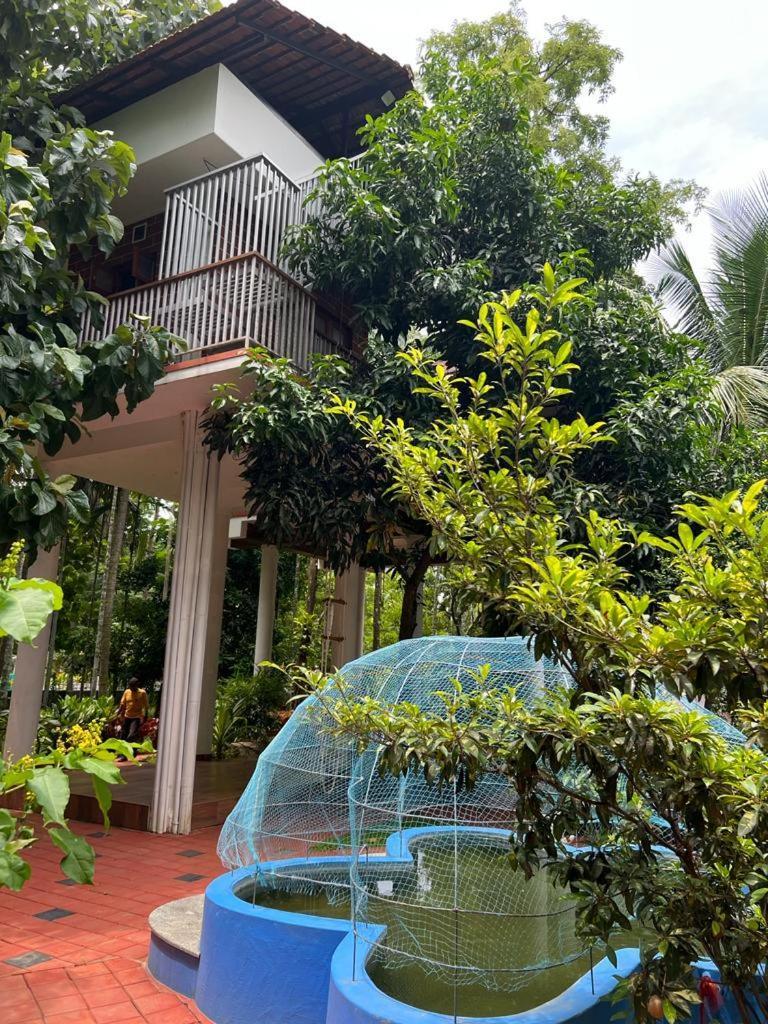Serenity Villa And Treehouse Palakkad Εξωτερικό φωτογραφία